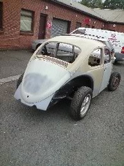 beetle3
