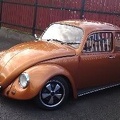 beetle7