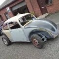 beetle6