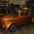 beetle9