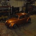 beetle10