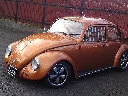 beetle7.jpg