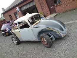 beetle6.jpg