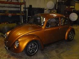 beetle9.jpg