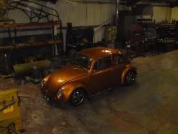 beetle10